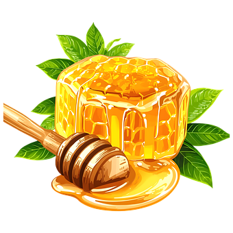 Free Honey Honeycomb illustration and picture