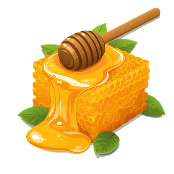 Free Honey Honeycomb illustration and picture