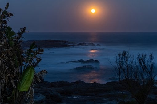 Free Moonlight Ocean Reflection photo and picture