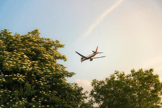 Free Airplane Airport photo and picture
