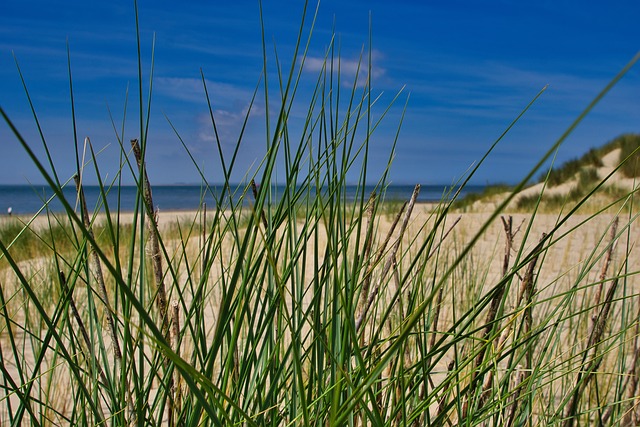 Sand, Strand, Gress, Sjø, Skyer, Sommer