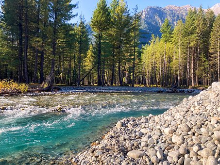 Landschaft, Natur, Fluss, Wald, Bäume