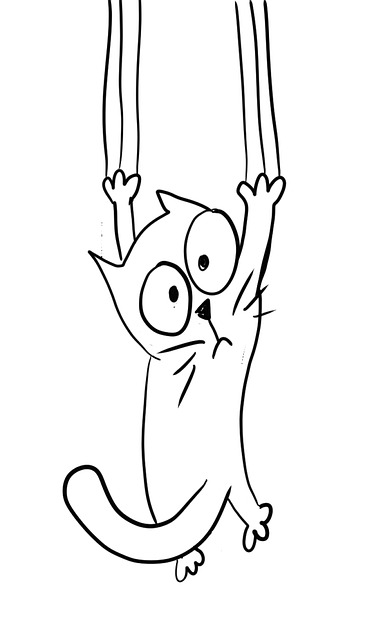 Free Cat Claws photo and picture