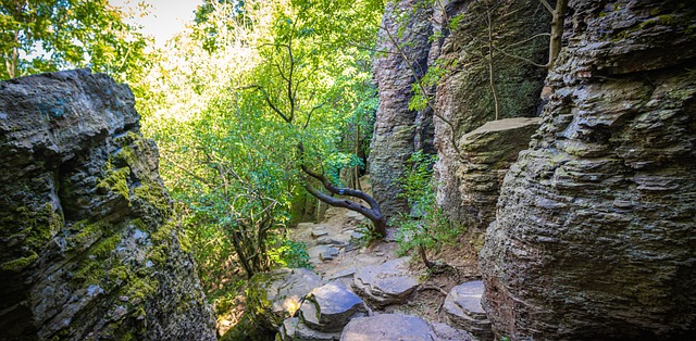 Szent György-Hegy, Natur, Landschaft