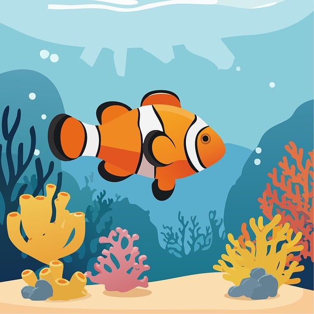 Peixe-Palhaço, Vida Marinha