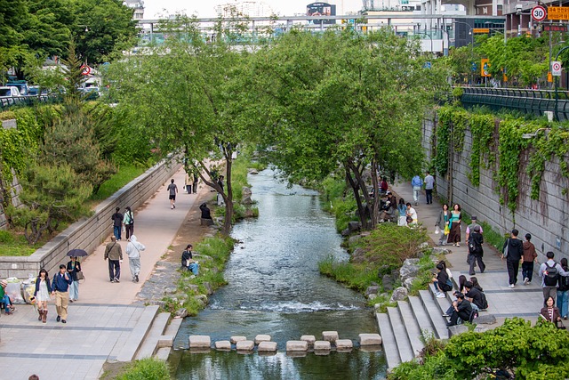 Cheonggyecheon, Seul, Coreea De Sud