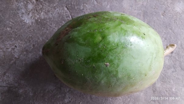 Free Fruit Papaya photo and picture