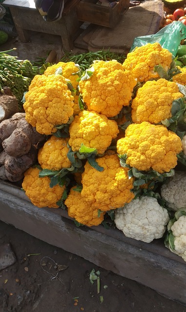 Free Cauliflower Vegetable photo and picture