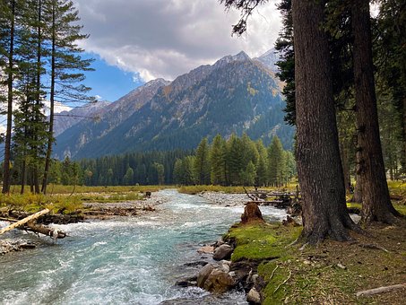 Natur, Fluss, Berge, Wald, Bach, Bäume