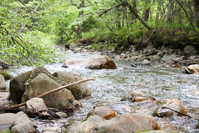 Free Nature Creek photo and picture