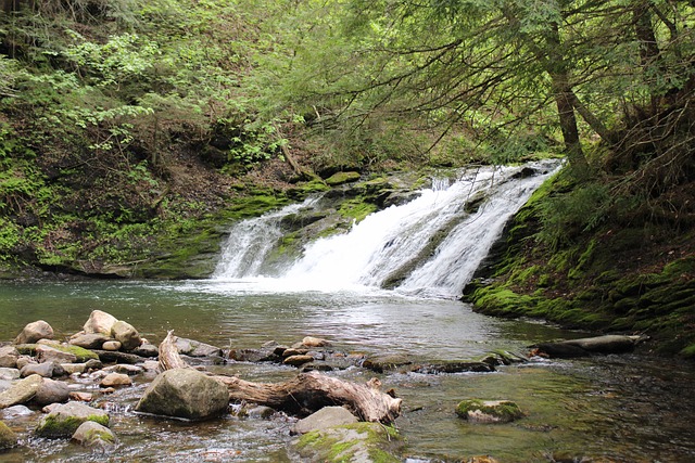Free River Waterfall photo and picture