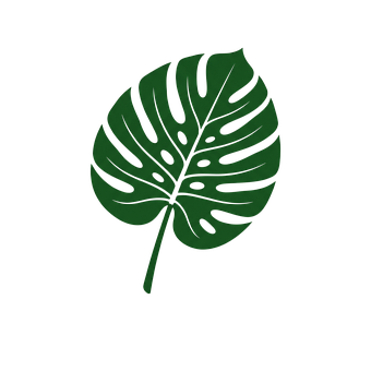 Free Monstera Leaf vector and picture