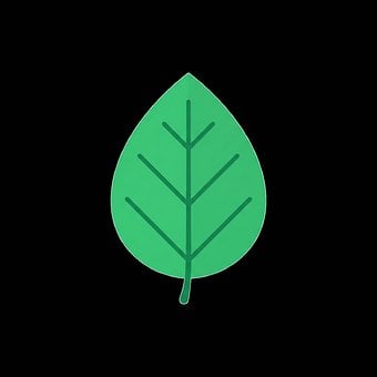 Free Leaf Icon Green vector and picture