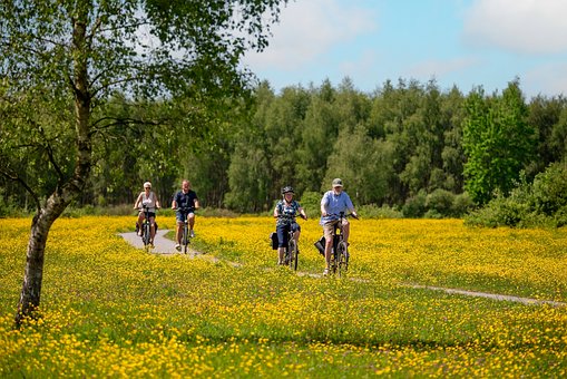 Free Cycling Yellow Flowers photo and picture