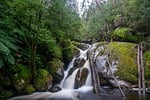 Random: river, waterfall, moss, rocks, forest, trees, flowing water, green, wilderness, nature, hiking, logs, adventure, cool, beautiful, landscape, amazing, tranquil, outdoors, australia