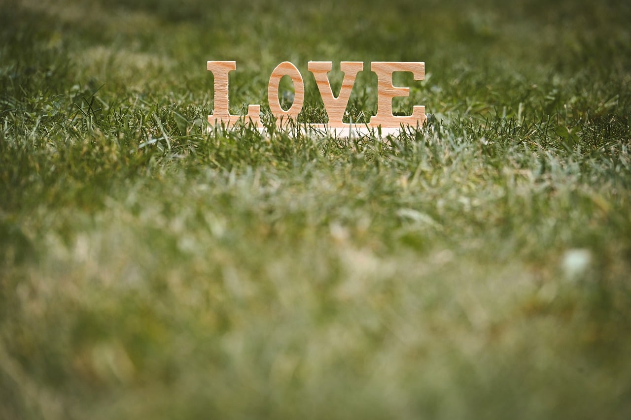 Love - free online jigsaw puzzle photo