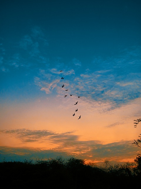 Free Sunset Clouds photo and picture