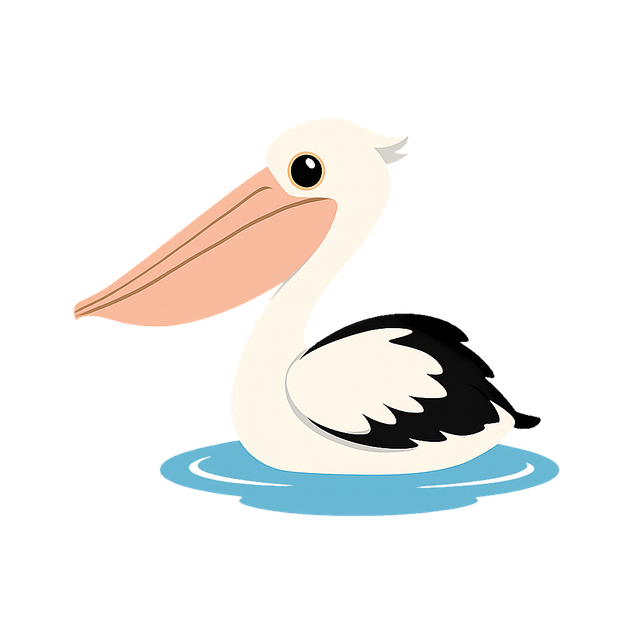 Free australian pelican bird waterbird vector