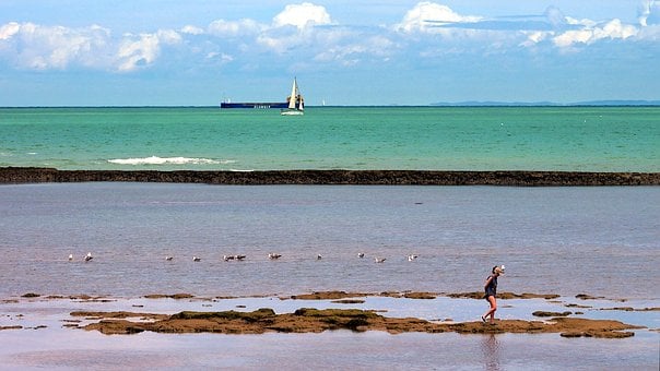 Meer, Ozean, Schiff, Küste, Vögel