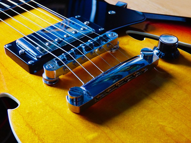 Free Guitar Electric photo and picture