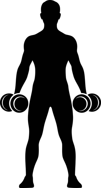 Silhouette, Fitness, Training, Hantel