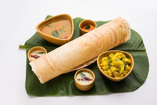 Free Dosa South Indian Cuisine photo and picture