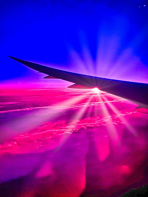 Free Wing Aircraft photo and picture