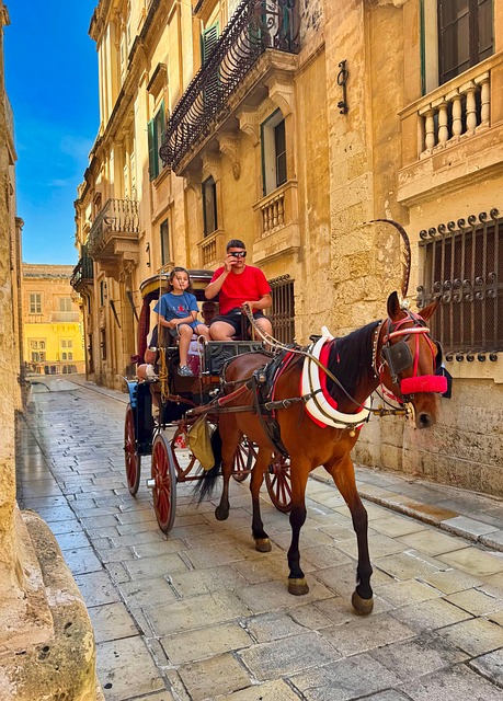 Free Carriage Horse And Buggy photo and picture