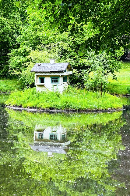 Dům, Rybník, Odrazy, Příroda, Park