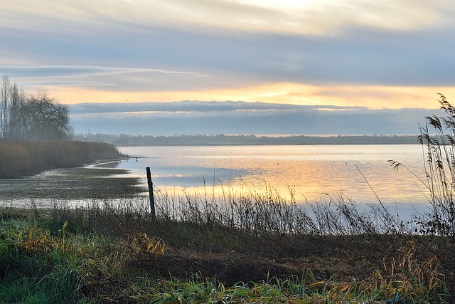 Sø, Morgen, Sol, Natur, Himmel, Skyer