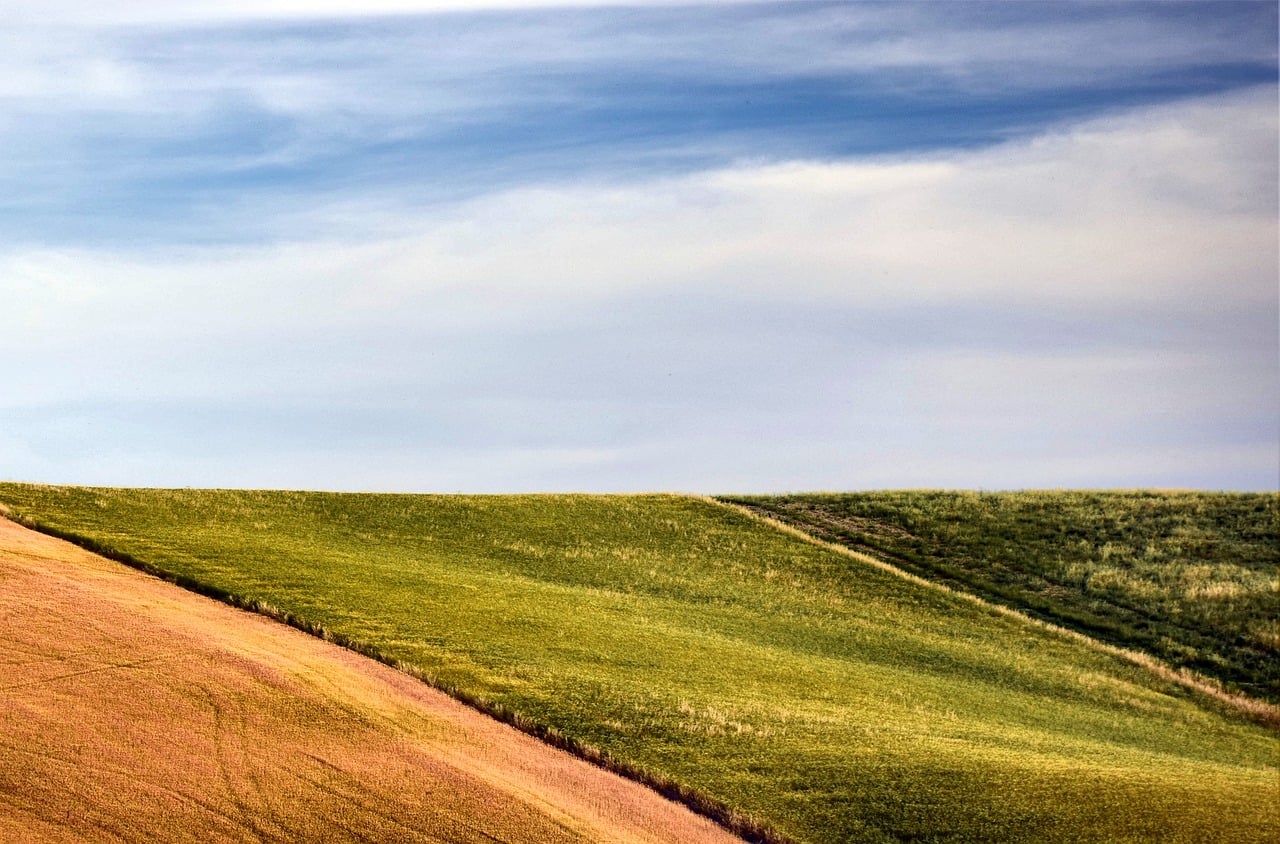 Nature - free online jigsaw puzzle photo