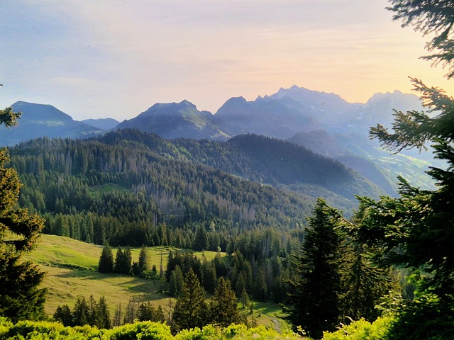 Free Mountain Landscape Forest photo and picture