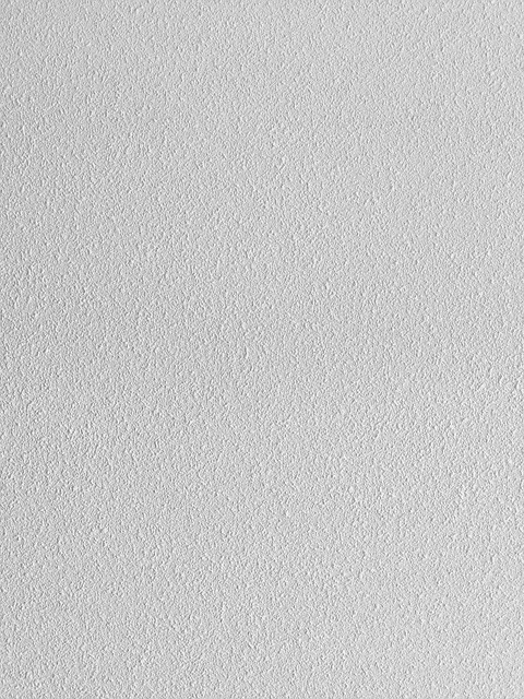 Free Wall Texture photo and picture
