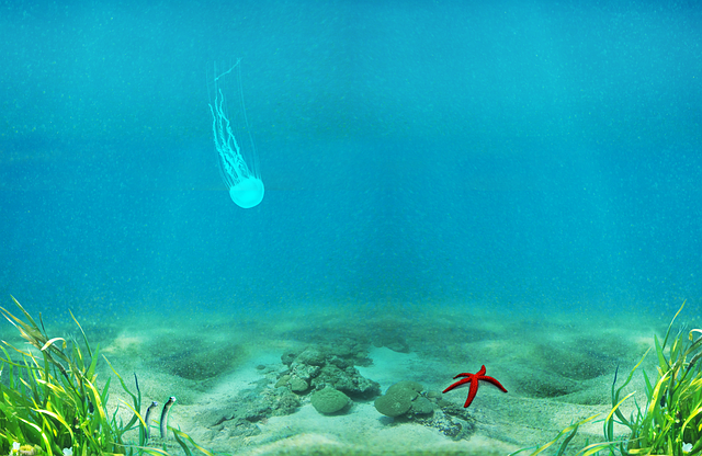 Free sea floor starfish seagrass illustration
