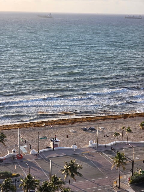 Free Beach Ocean photo and picture