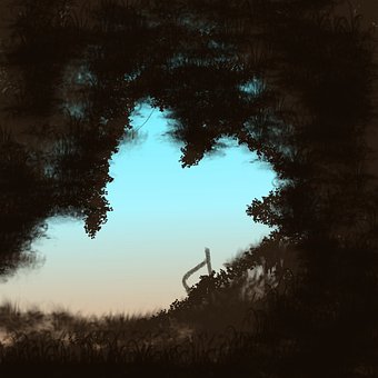 Paisaje, Bosque, Río, Agua, Árbol