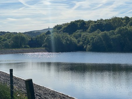Lago, Costa, Naturaleza, Bosque