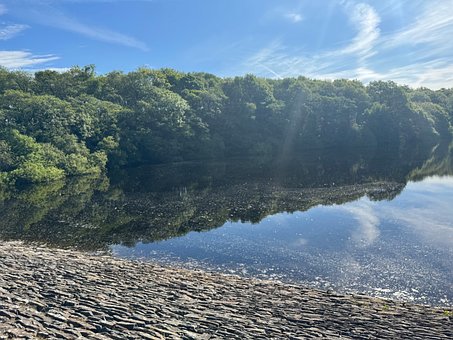 Lago, Árboles, Reflejo, Nubes