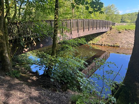 Puente De Madera, Escena Forestal