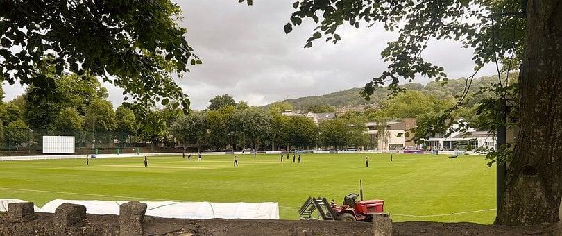 Cricket, Verde, Campo, Césped, Árboles