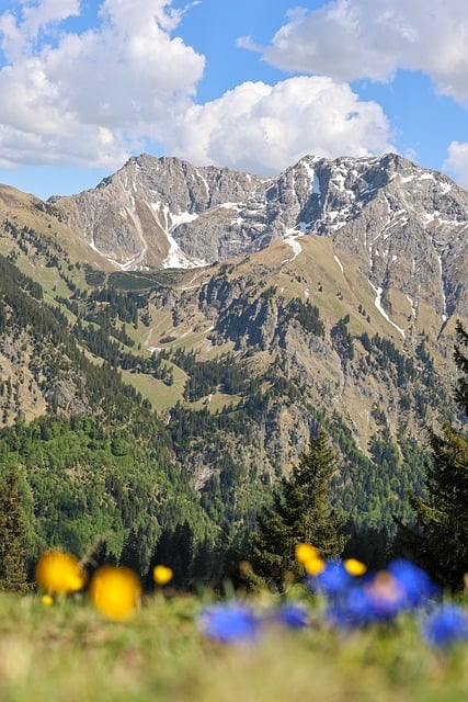 Гора, Весенние Цветы, Панорама