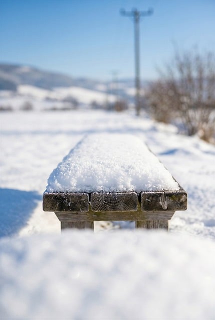 Winter, Bank, Schnee, Natur, Wintertag