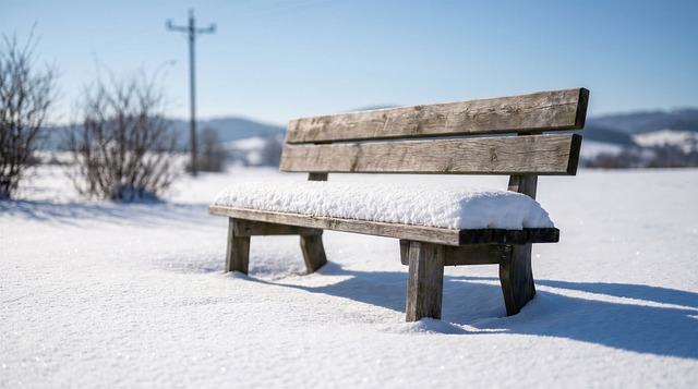 Free bench snow winter landscape illustration