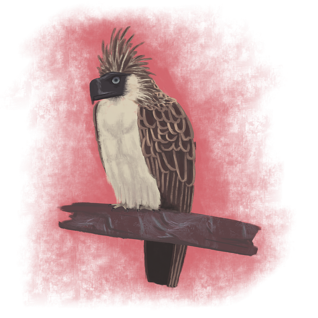 Free bird animal philippine eagle illustration