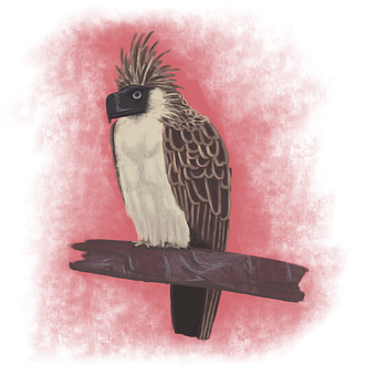 Free Bird Animal illustration and picture