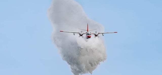 Free Pilot Airplane photo and picture