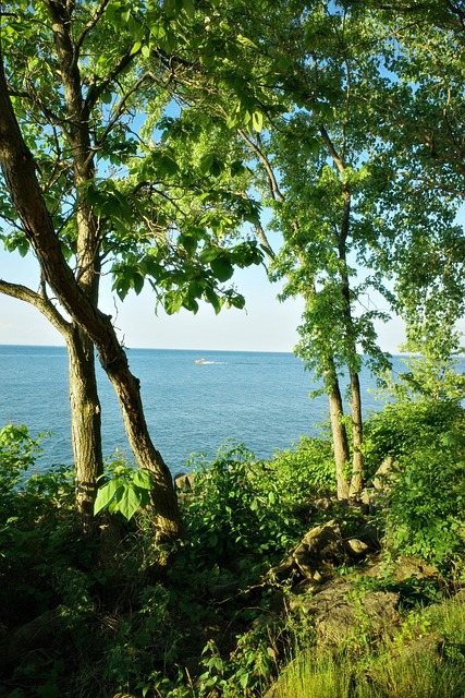 Free Lake Water photo and picture