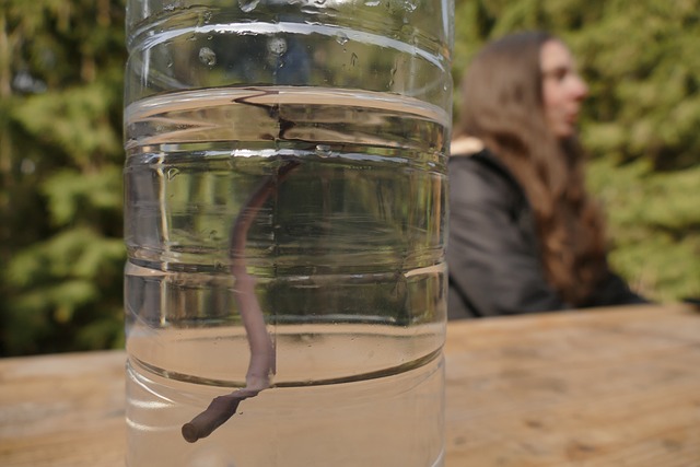 Free Leech Nature photo and picture