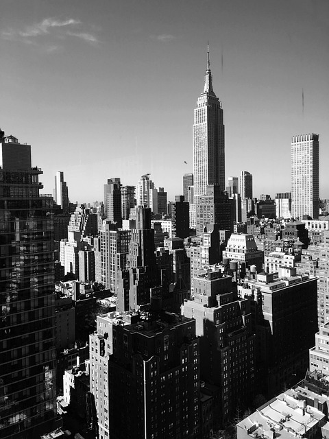 Free New York Skyscraper photo and picture