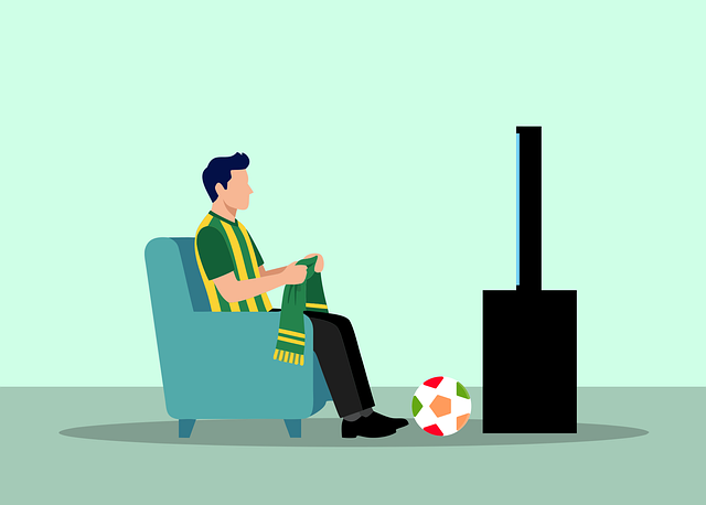 Free soccer fan television illustration